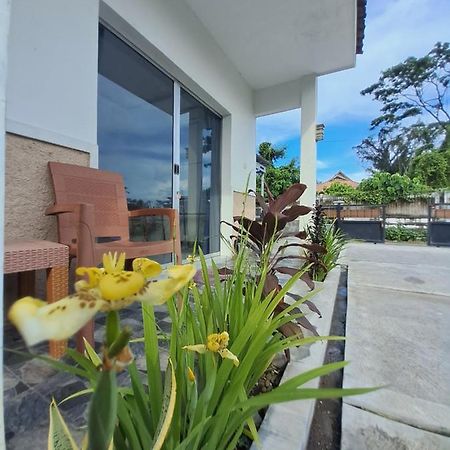 Robiu Bed & Breakfast บันยูวังงี ภายนอก รูปภาพ